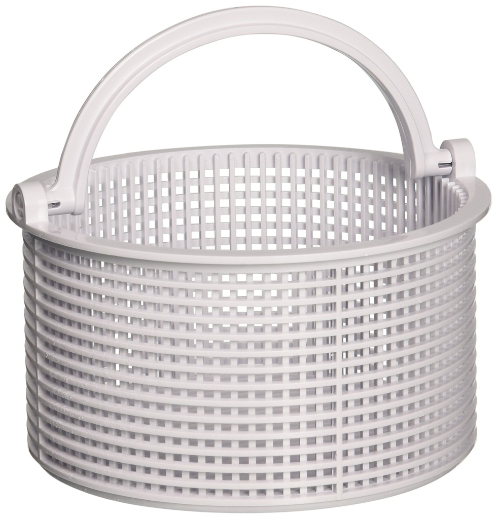 Repuesto Canasta Skimmer Spa Sp1096 SPX1096CA (B-168) HAYWARD