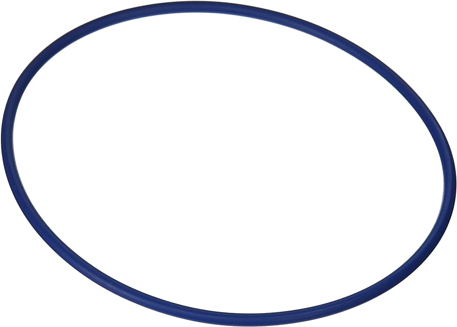Repuesto Empaque Cuello De Filtro Hayward GMX600F (O-263-9)