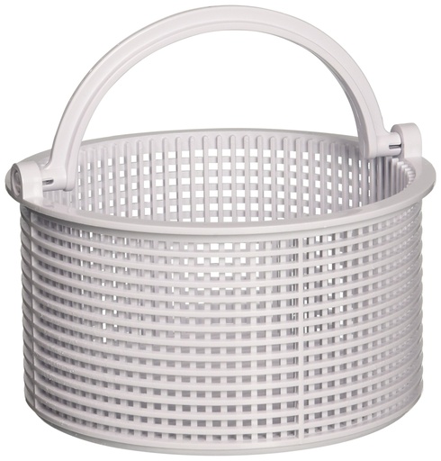[SPX1096CA] Repuesto Canasta Skimmer Spa Sp1096 SPX1096CA (B-168) HAYWARD